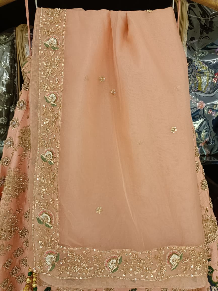 WEDDING,RECEPTION,FUNCTIONAL BRIDAL LEHENGA CHOLI