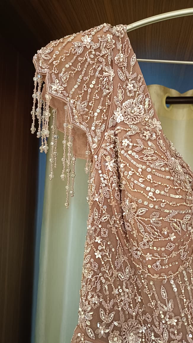 WEDDING,RECEPTION FUNCTIONAL PARTY WEAR GOWN