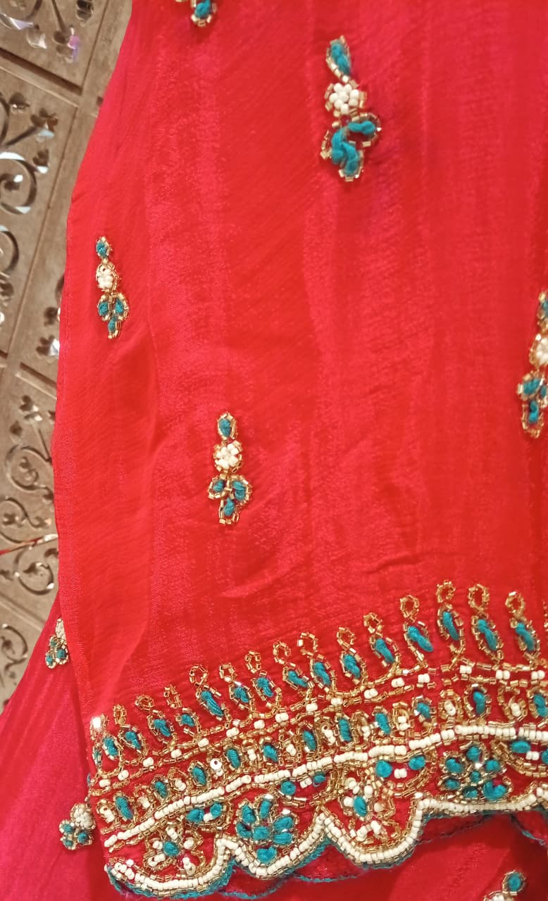FUNCTIONAL FESTIVE OCCASSION PARTY WEAR OUTFIT