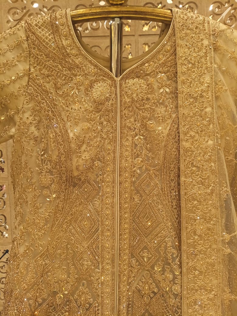 WEDDING,RECEPTION FUNCTIONAL PARTY WEAR OUTFIT