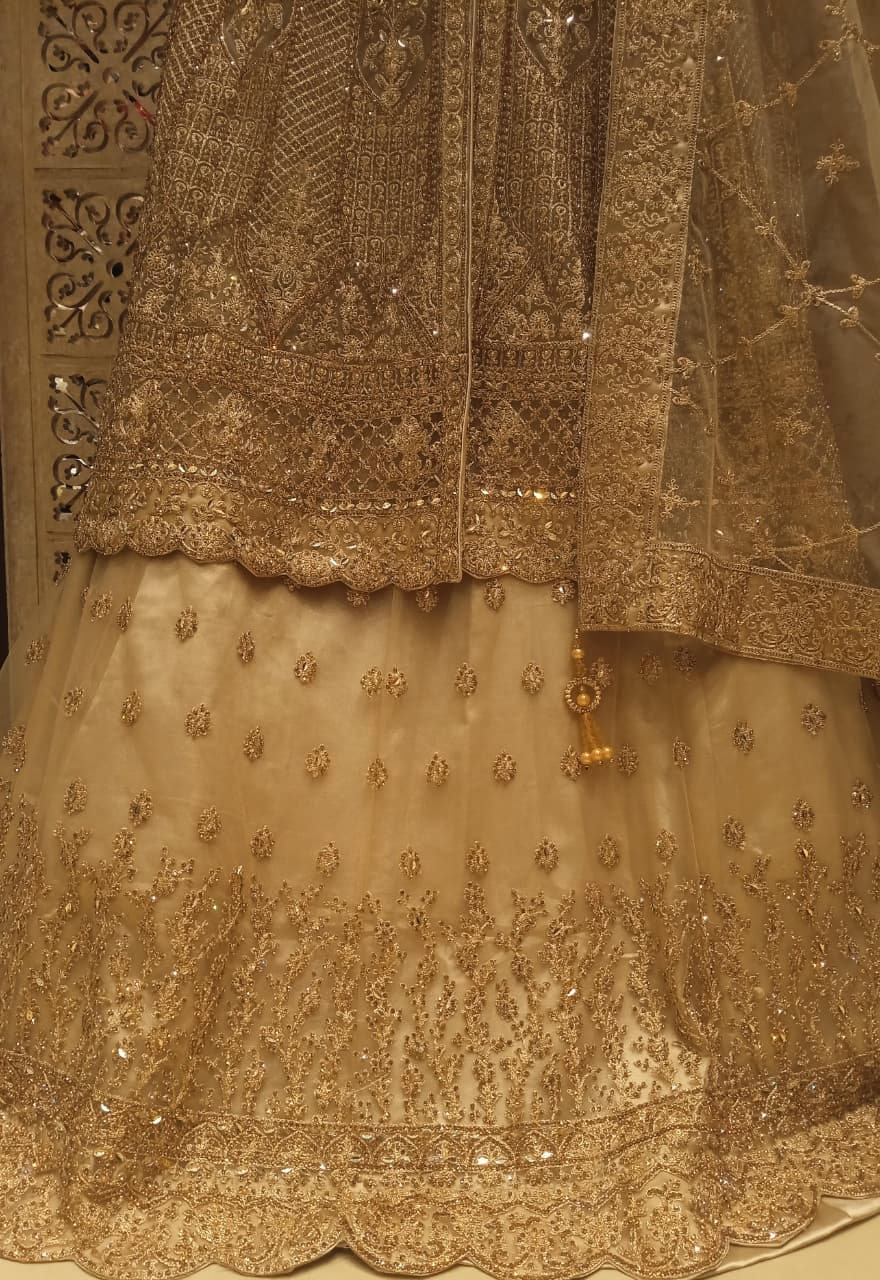 WEDDING,RECEPTION FUNCTIONAL PARTY WEAR OUTFIT