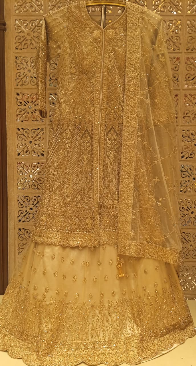 WEDDING,RECEPTION FUNCTIONAL PARTY WEAR OUTFIT