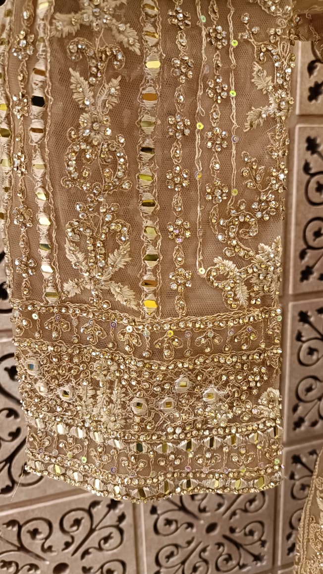 WEDDING,RECEPTION FUNCTIONAL PARTY WEAR OUTFIT