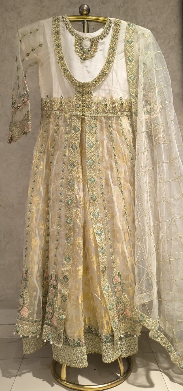 PAKISTANI PARTY WEAR OUTFIT