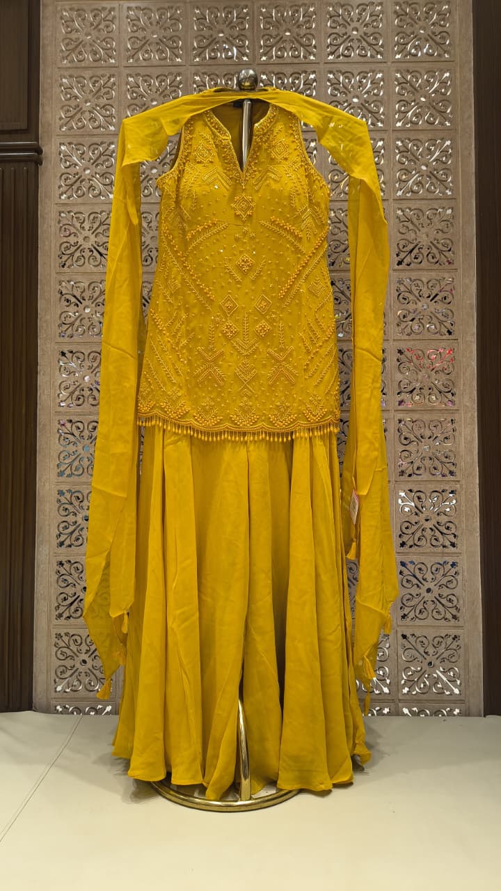 FESTIVE OCCASSION PARTY WEAR OUTFIT