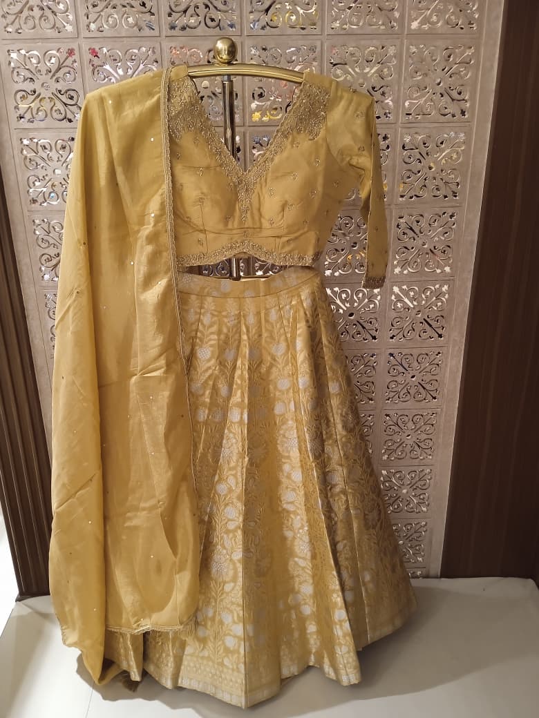 Haldi Mehndi Sangeet & Party Wear Banarasi Lehenga Choli