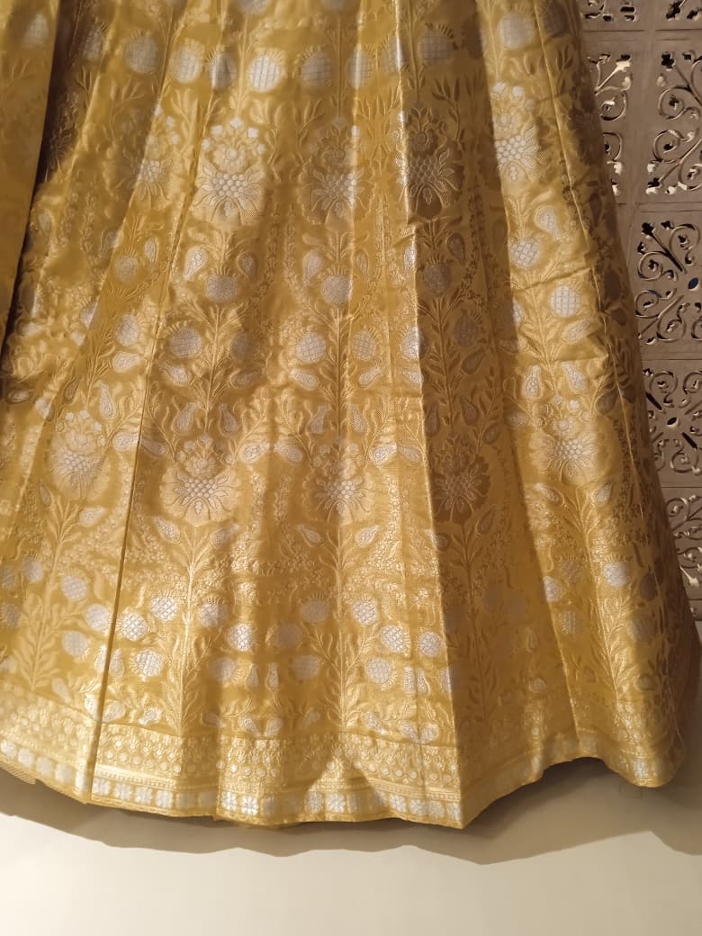 Haldi Mehndi Sangeet & Party Wear Banarasi Lehenga Choli