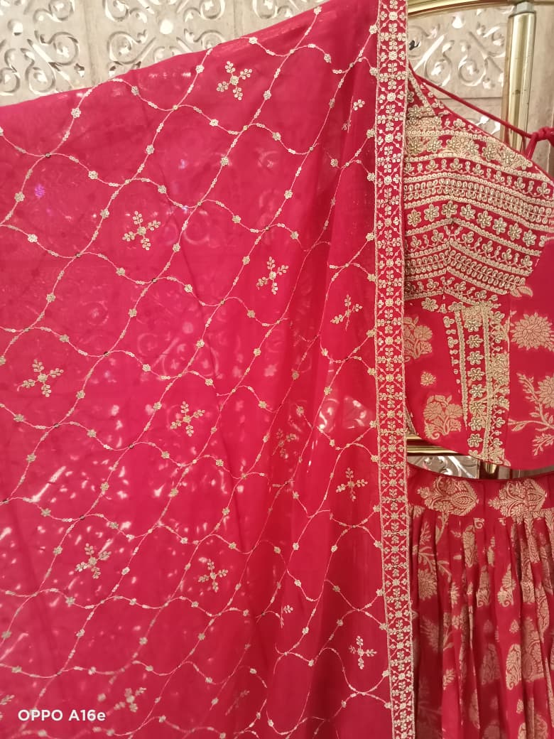 Bridal functions, Receptions, Festive Celebrations & Party Wear Lehenga Choli